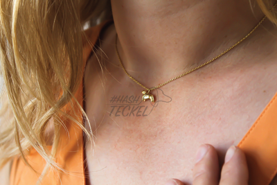 TECKEL KETTING | GOUD | ORELIA JEWELRY
