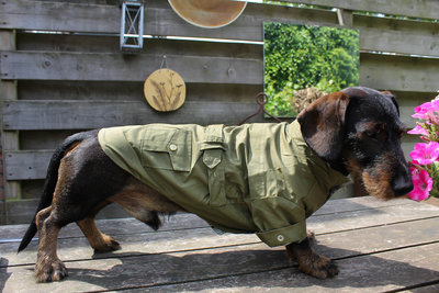TECKEL JAS | TRENCHCOAT GROEN
