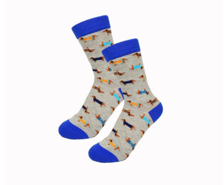 TECKEL SOKKEN | BLAUW | MAAT 35-38