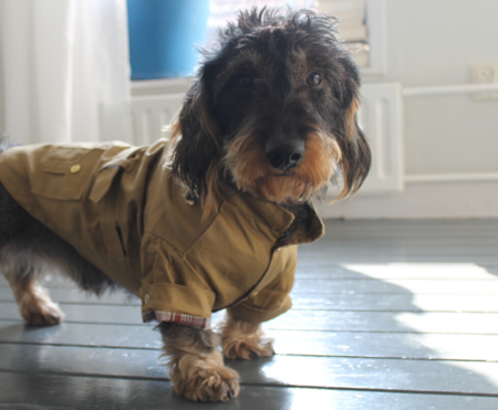 TECKEL JAS | TRENCHCOAT KHAKI