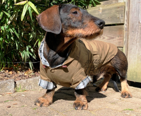 TECKEL JAS | TRENCHCOAT CAPUCHON | KHAKI