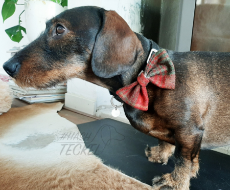 VLINDERDAS | TWEED & TARTAN ROOD