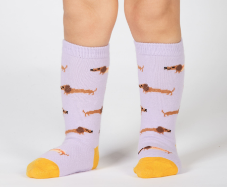 TECKEL KNIESOKKEN | LEEFTIJD 1-2 JAAR | SOCK IT TO ME