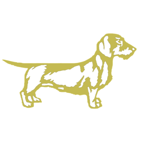 RUWHAAR TECKEL STICKER | GOUD