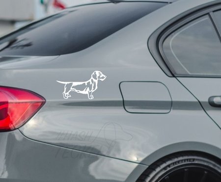 RUWHAAR TECKEL STICKER | WIT