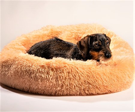TECKEL MAND | FLUFFY DONUT | PEACH