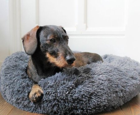 TECKEL MAND | FLUFFY DONUT | GREY