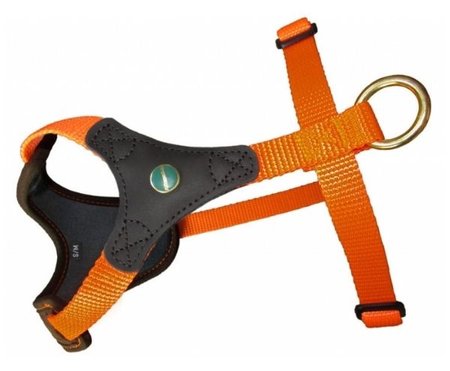 FOLLOW START TECKEL TUIG | BRUIN / ORANJE | NIGGELOH