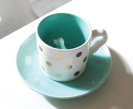 TECKEL KOFFIEKOP THEEKOP MET SCHOTEL | HOUSE OF DISASTER