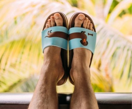 TECKEL SLIPPERS