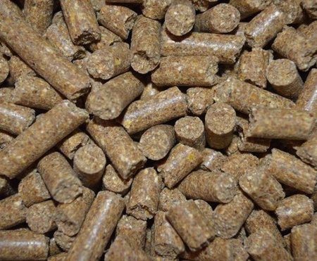 GRAANVRIJ BROK | 100% NATUURLIJK GEPERST | UUT TWELLE