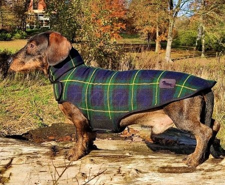 TECKEL FLEECE JAS | SCHOTSE RUIT | GROEN / BLAUW