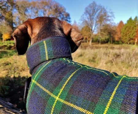 TECKEL FLEECE JAS | SCHOTSE RUIT | GROEN / BLAUW 