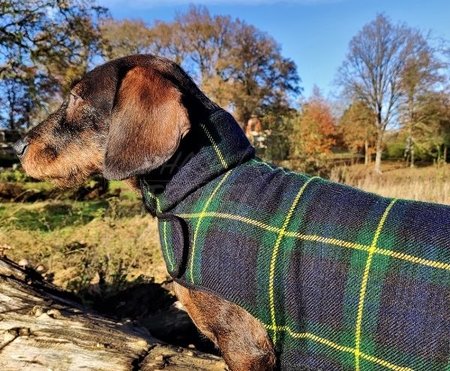 TECKEL FLEECE JAS | SCHOTSE RUIT | GROEN / BLAUW 