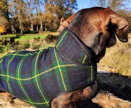 TECKEL FLEECE JAS | SCHOTSE RUIT | GROEN / BLAUW 
