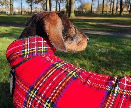 TECKEL FLEECE JAS | SCHOTSE RUIT | ROOD