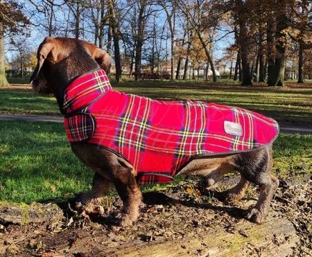 TECKEL FLEECE JAS | SCHOTSE RUIT | ROOD