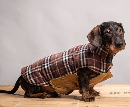 TECKEL JAS | WATERAFSTOTEND & REVERSIBLE | BRUIN / BEIGE