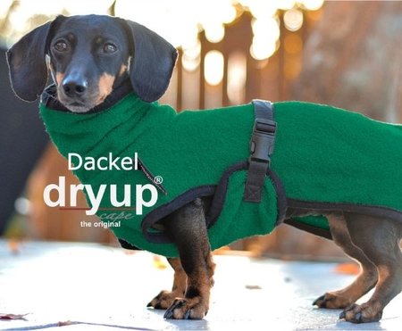 TECKEL BADJAS | GROEN