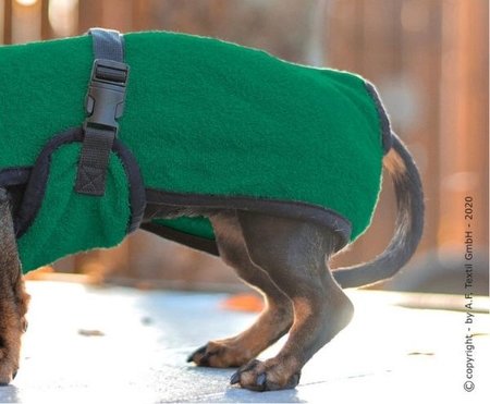 TECKEL BADJAS | GROEN