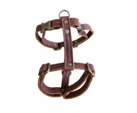 HASHTECKEL'S TECKEL H-TUIG | LEER | COGNAC