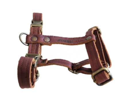 HASHTECKEL'S TECKEL H-TUIG | LEER | COGNAC