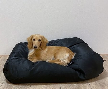 LICHAAMSVORMEND HONDENBED | WATERAFSTOTEND | ZWART