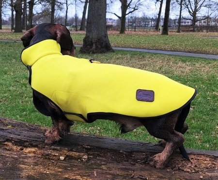TECKEL REGENJAS | WATERDICHT NEOPREEN | GEEL