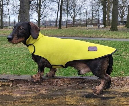 TECKEL REGENJAS | WATERDICHT NEOPREEN | GEEL