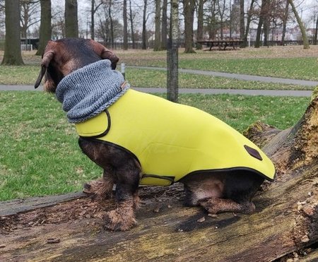 TECKEL REGENJAS | WATERDICHT NEOPREEN | GEEL