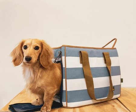 TECKEL DRAAGTAS | TOT 8 KG | BLAUW & BEIGE