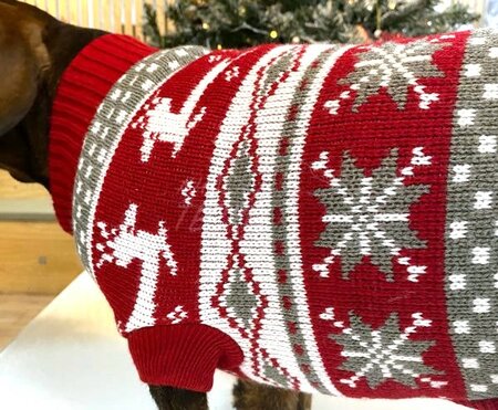 TECKEL WINTERTRUI | DONKERROOD