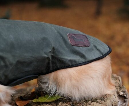 DACHSHUND WAX COAT | WATER REPELLENT | GREEN