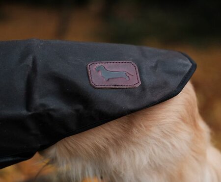 DACHSHUND WAX COAT | WATER REPELLENT | BROWN