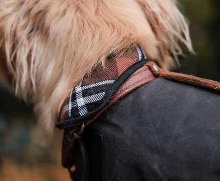 DACHSHUND WAX COAT | WATER REPELLENT | BROWN