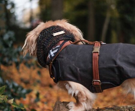 DACHSHUND WAX COAT | WATER REPELLENT | BROWN