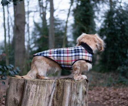 DACHSHUND FLEECE COAT| FLEECE LINED | BURBERRY