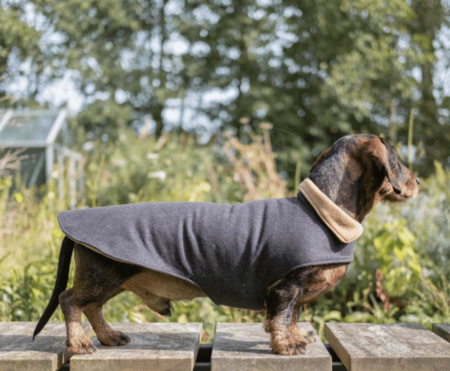 DACHSHUND WINTER COAT WOOL | FLEECE LINED | GRAY