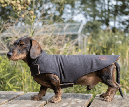 DACHSHUND WINTER COAT WOOL | FLEECE LINED | GRAY