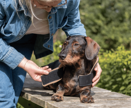 DACHSHUND WINTER COAT WOOL | FLEECE LINED | GRAY