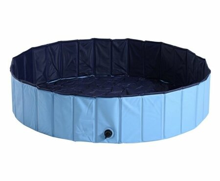 DACHSHUND DOG SWIMMING POOL | LOW ENTRENCE