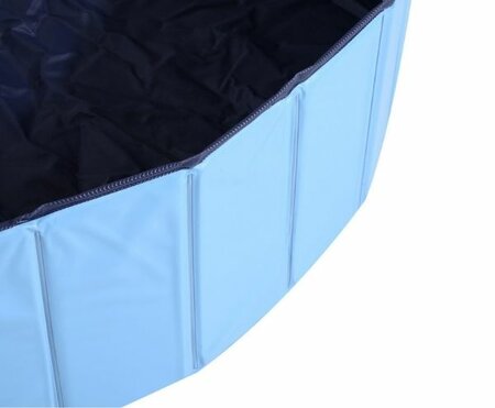 DACHSHUND DOG SWIMMING POOL | LOW ENTRENCE
