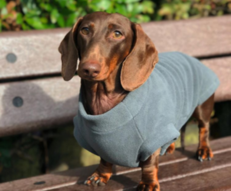 DACHSHUND FLEECE SWEATER | WATER REPELLENT | LIGHT GREY