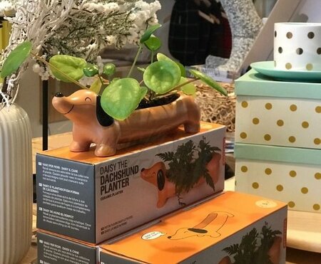 KIKKERLAND | DAISY THE DACHSHUND PLANTER