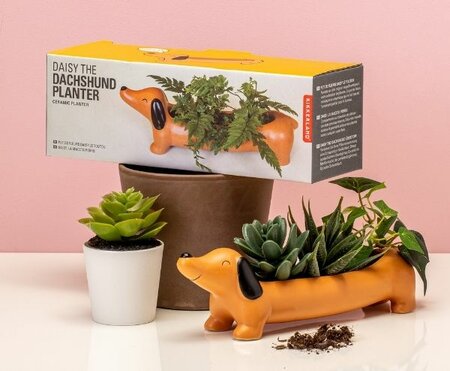 KIKKERLAND | DAISY THE DACHSHUND PLANTER