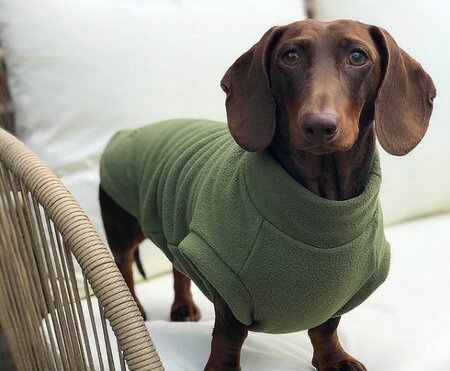 DACHSHUND FLEECE SWEATER | WATER REPELLENT | DARK GREEN