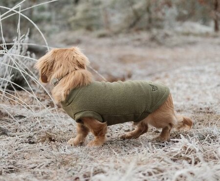 DACHSHUND FLEECE SWEATER | WATER REPELLENT | DARK GREEN