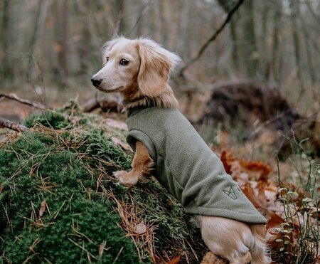 DACHSHUND FLEECE SWEATER | WATER REPELLENT | DARK GREEN