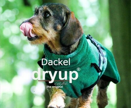 TECKEL BADJAS | GROEN