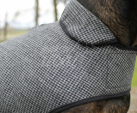 DACHSHUND IN BETWEEN COAT | WOOL | GREY